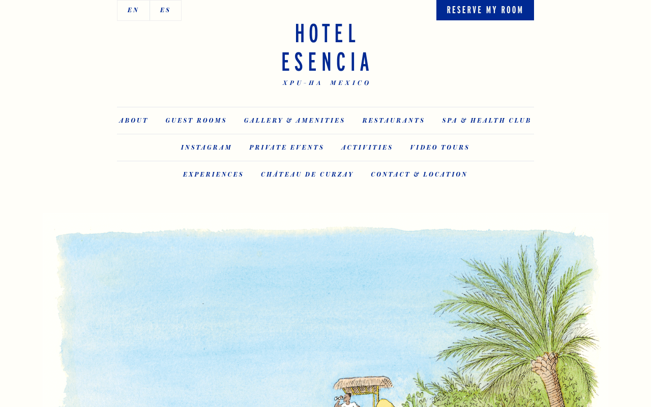 Hotel Esencia